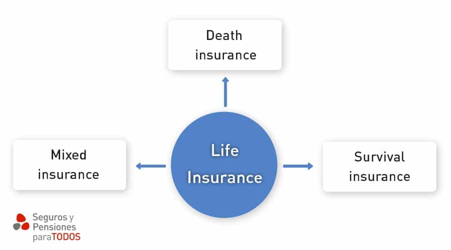 Life insurance chart