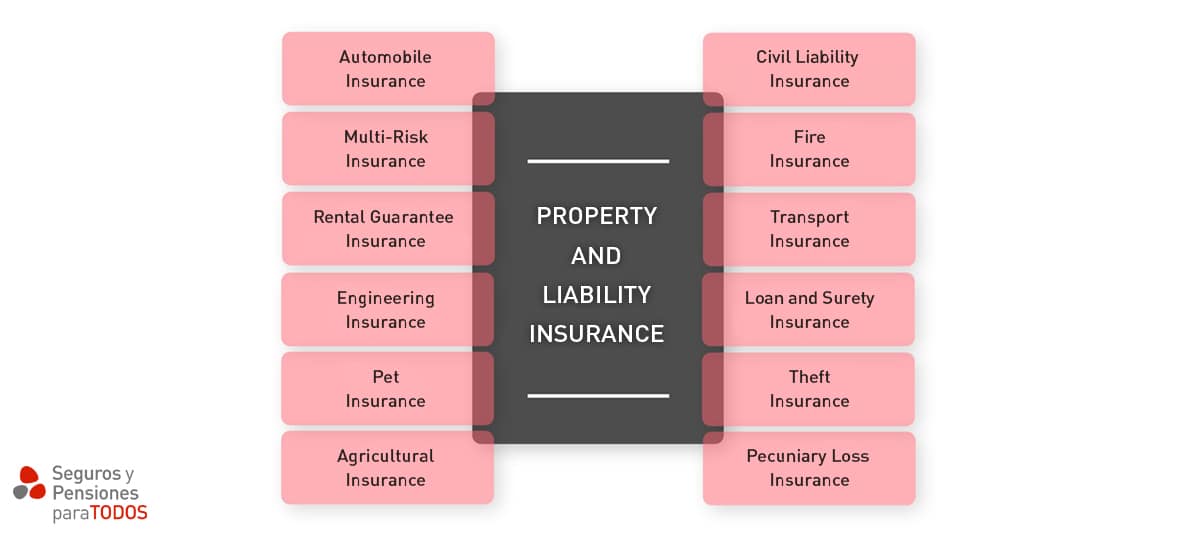 This category includes insurance whose main purpose is to repair the loss that an insured may suffer to their assets as a consequence of a loss
