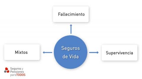 Los Seguros De Vida Tipos De Seguros SyPpT